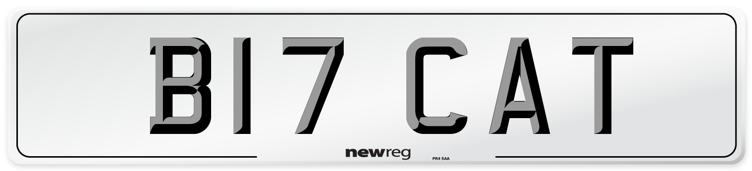 B17 CAT Number Plate from New Reg